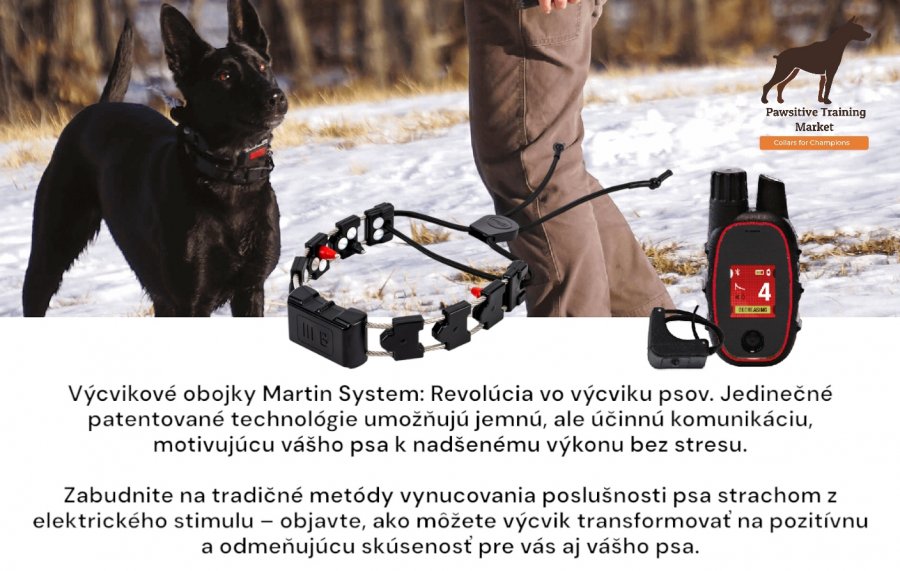 Martin System SK