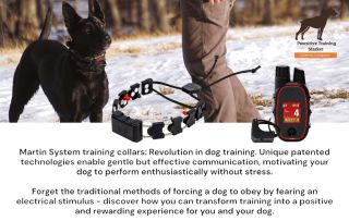 🎄 Christmas time with Martin System® training collars! 🎄 Looking for the perfect gift for your four-legged friend? Visit...